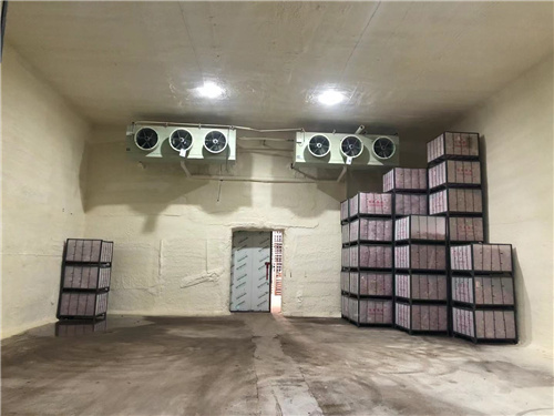 华体会在线注册苹果冷库安装案例