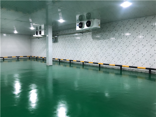 华体会在线注册蔬菜保鲜库